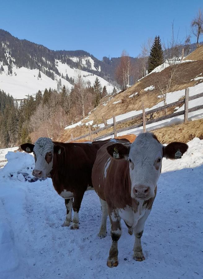 Almhof Grub Villa Wagrain Bagian luar foto